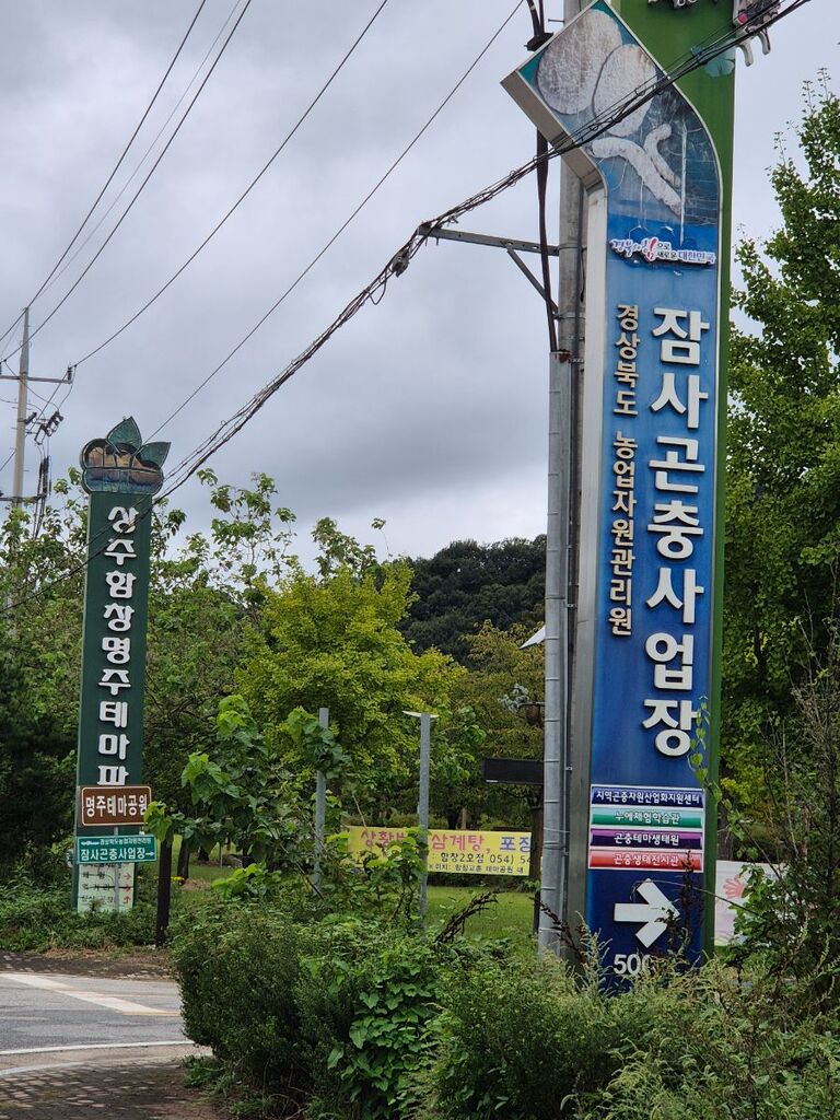 경북상주 함창 명주갤러리 방문