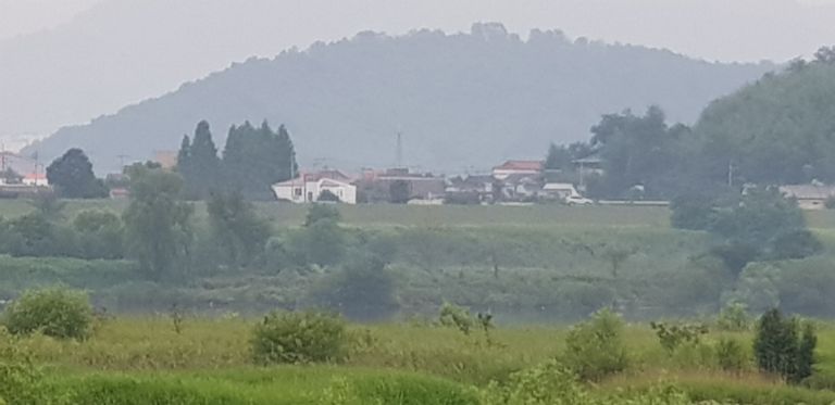 2019 대산미술관 외부, 낙동강풍경